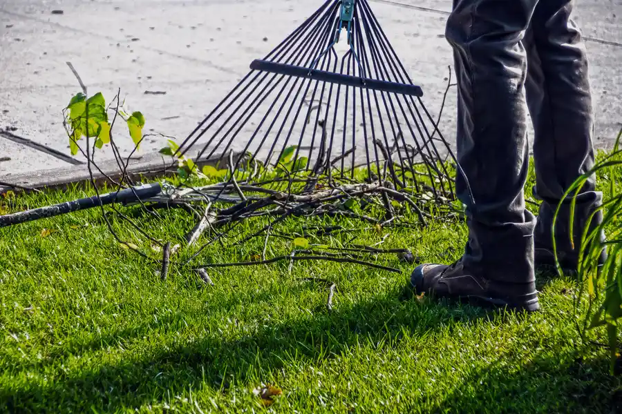 Brush Removal Tips To Improve Your Landscape Appearance San Jose, CA